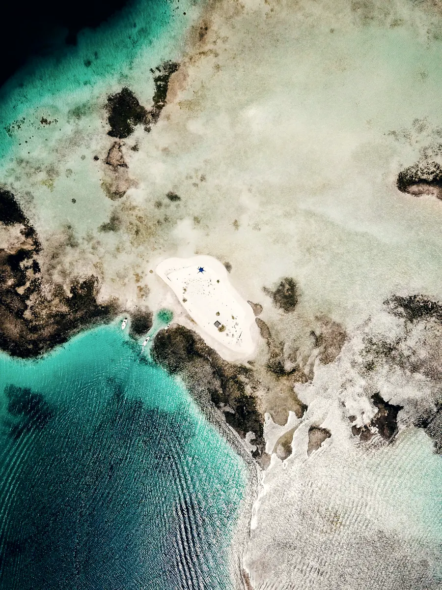 Shallow reef and shoreline, seen from the air.